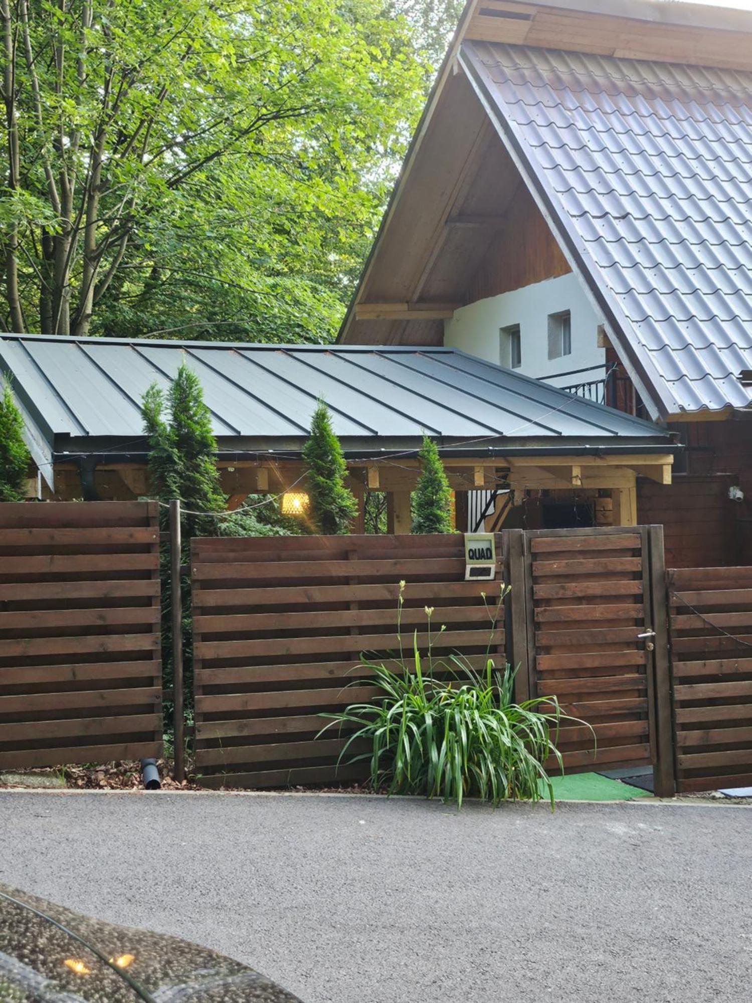 Villa Quad Пояна-Брашов Екстер'єр фото