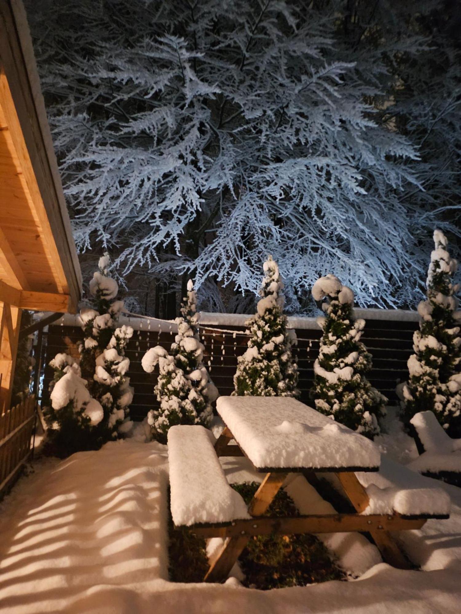 Villa Quad Пояна-Брашов Екстер'єр фото